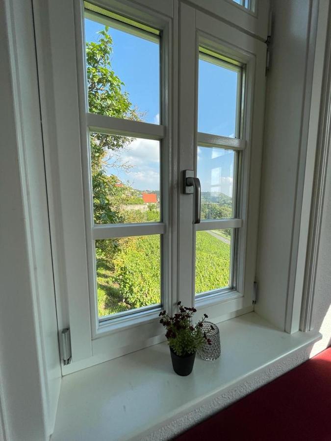 Ferienhaus Traminer Im Weinberg Freyburg Exteriér fotografie
