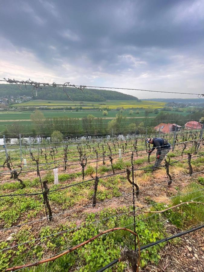 Ferienhaus Traminer Im Weinberg Freyburg Exteriér fotografie