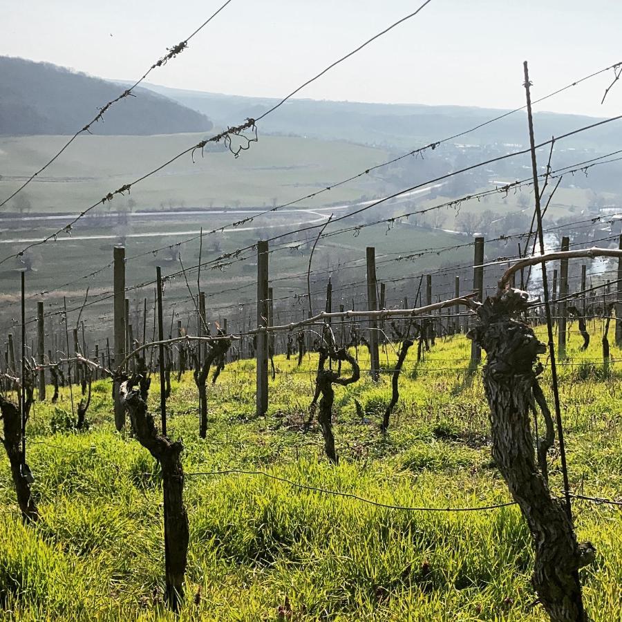 Ferienhaus Traminer Im Weinberg Freyburg Exteriér fotografie