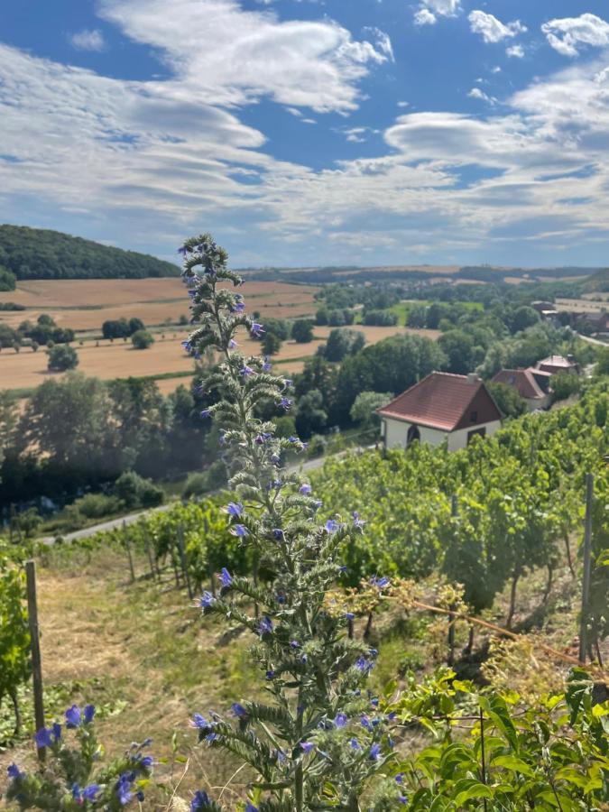 Ferienhaus Traminer Im Weinberg Freyburg Exteriér fotografie