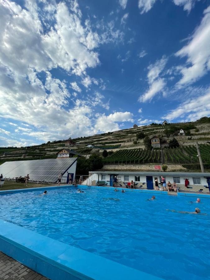 Ferienhaus Traminer Im Weinberg Freyburg Exteriér fotografie